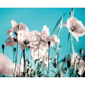 Sanders & Sanders Fototapete Blumen Blau und Rosa 360 x 270 cm 600448