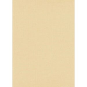 Bricoflor Einfarbige Tapete in Beige 10262-02