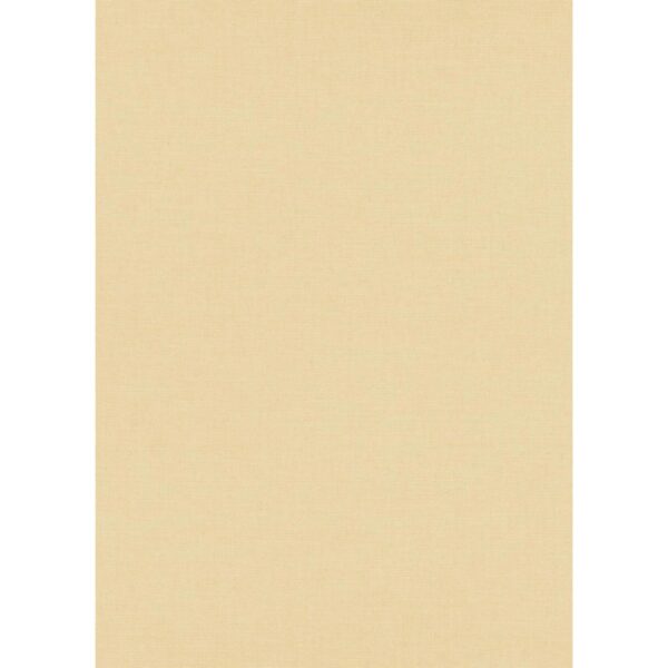 Bricoflor Einfarbige Tapete in Beige 10262-02