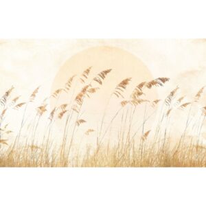 Komar Fototapete Dune Grass Sandbeige 400 x 250 cm 611233