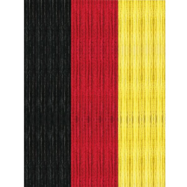 Arsvita Flauschvorhang Flauschgardine Vorhang 90 cm x 220 cm Unistreifen Schwarz Rot Gelb