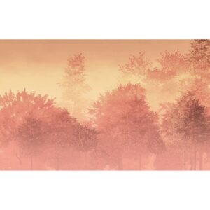 Komar Fototapete Heartwood Pfirsichorange Rosa 400 x 250 cm 611232