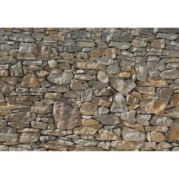 Komar Fototapete Stone Wall Grau und Beige 368 x 254 cm 610999