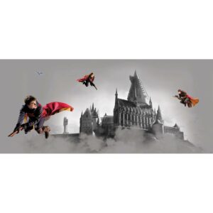 Sanders & Sanders Poster Harry Potter Hogwarts Grau und Rot 1.7 x 0.75 m 601270