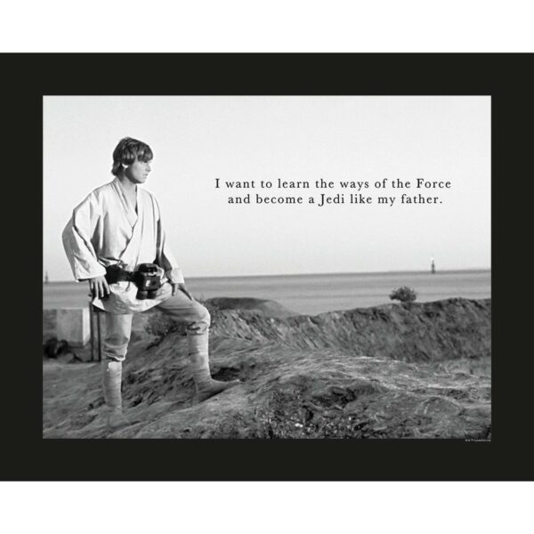 Disney Poster Star Wars Luke Skywalker Schwarz-Weiß 50 x 40 cm 610258