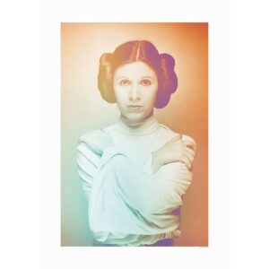 Disney Poster Star Wars Leia Orange und Grün 50 x 70 cm 610211