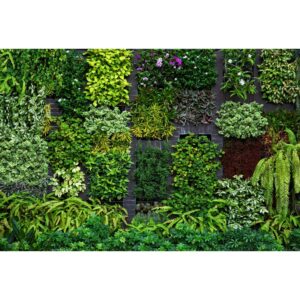 Bricoflor Grüne Fototapete Blick in Den Garten Pflanzen Tapete in 3D Optik für Wohnzimmer und Küche Botanik Vliestapete mit Gartenmotiv