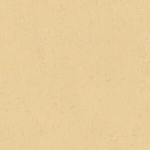 Tadessi Tapete Uni M1 No 2414 Vliestapete Beige Tapete Einfarbig Unitapete