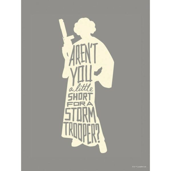 Disney Poster Leia Quotes Grau 30 x 40 cm 612162