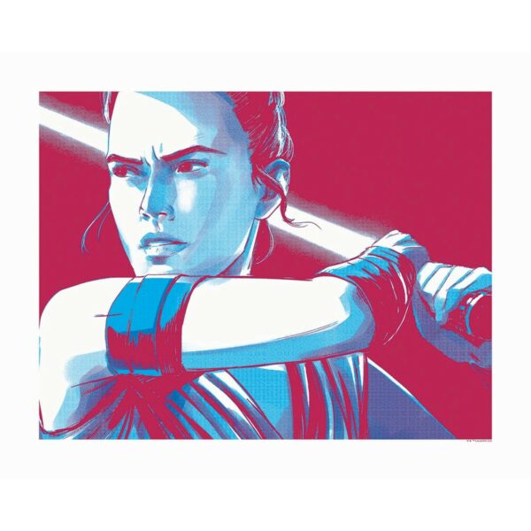 Disney Poster Star Wars Rey Rot und Blau 50 x 40 cm 610264