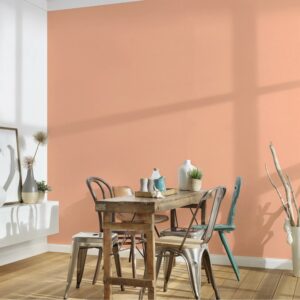 Bricoflor Vliestapete Orange Uni Einfarbige Tapete In Apricot Für Kinderzimmer Und Schlafzimmer Vlies Wandtapete Schlicht