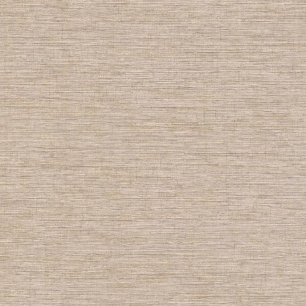 Tadessi Tapete Uni M1 No 3299 Vliestapete Beige Tapete Einfarbig Unitapete