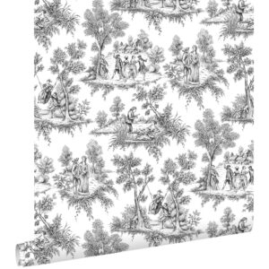 ESTAhome Tapete Toile De Jouy Schwarz 53 cm x 10