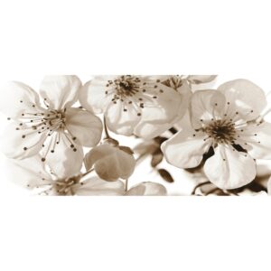 Sanders & Sanders Poster Blumen Beige 202 x 90 cm 600915