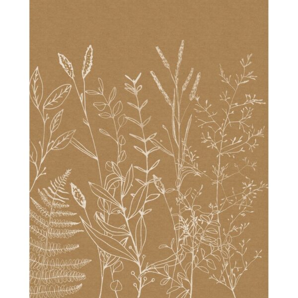 Komar Fototapete Herbs Garden Beige 200 x 250 cm 611184