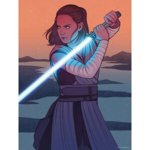 Disney Poster Star Wars Rey Orange und Grau 30 cm x 40 cm 612870