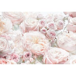 Komar Fototapete Spring Roses Hellrosa 368 x 254 cm 611041