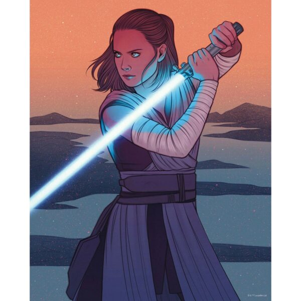 Disney Poster Star Wars Rey Orange und Grau 40 cm x 50 cm 612871