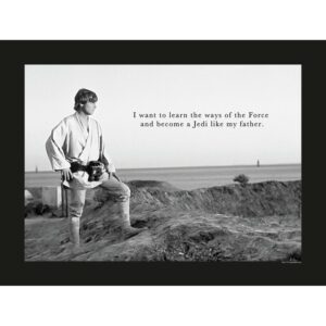 Disney Poster Star Wars Luke Skywalker Schwarz-Weiß 40 x 30 cm 610257