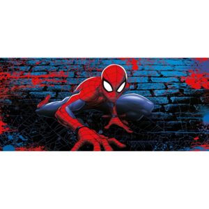 Sanders & Sanders Poster Spider-Man Rot und Blau 0