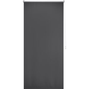 Thermo-Rollo Manresa 60 cm x 175 cm Grau