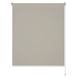 Schöner Wohnen Tageslicht-Rollo Tizia 100 cm x 150 Beige