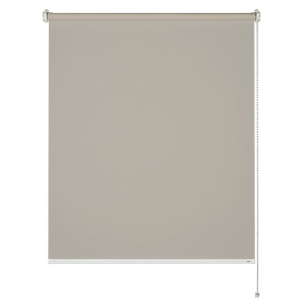 Schöner Wohnen Tageslicht-Rollo Tizia 100 cm x 150 Beige