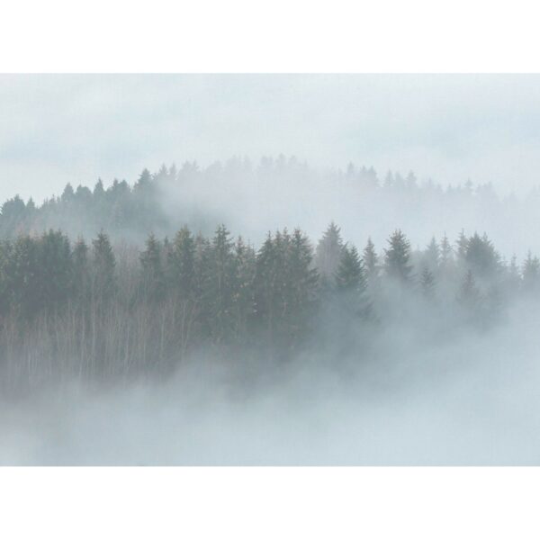 Fototapete Landschaft Wald Grün Grau Braun 3