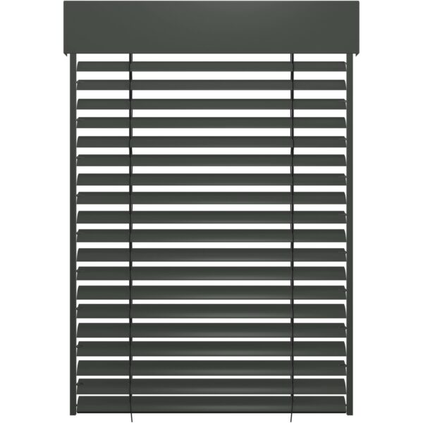 Schellenberg Sonnenschutz Raffstore Express mit Motor 220 cm x 240 cm Anthrazit