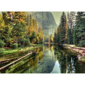 Fototapete Landschaft Fluss Wald Grün Gelb 3