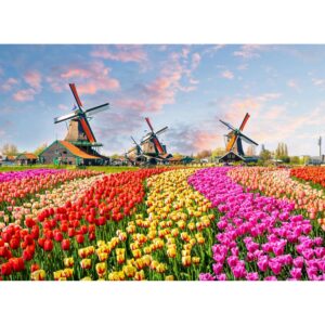 Fototapete Windmühle Tulpenfeld Bunt 3