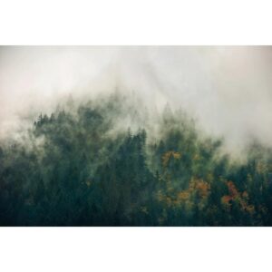 Komar Fototapete Vlies Tales of the Carpathians  300 x 200 cm