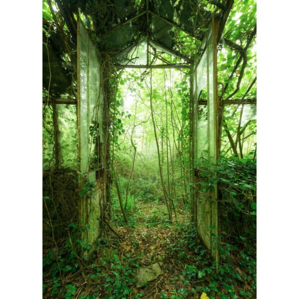 Komar Vliesfototapete Greenhouse 200 cm x 250 cm