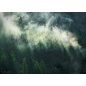 Komar Vliesfototapete Misty Crowns 350 cm x 250 cm