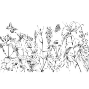 Komar Vliestapete Butterfly Field  400 x 250 cm