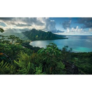 Vlies Fototapete Jurassic Island 450x280 cm