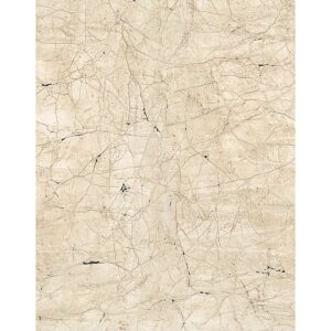 Schöner Wohnen Vliestapete 2 DD Steinoptik Beige 270 x 212 cm FSC®