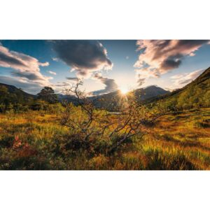 Vlies Fototapete Norwegische Herbstwelten 450x280 cm