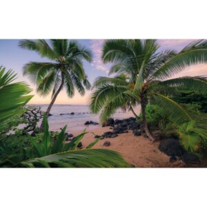 Vlies Fototapete Hawaiian Dreams 450x280 cm