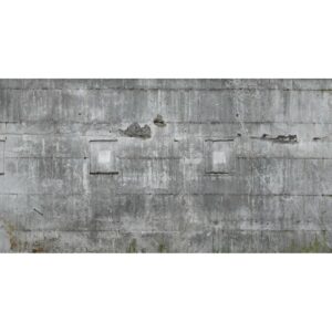 Rasch Digitaltapete Factory IV 445503 Beton Grau 3 m x 5