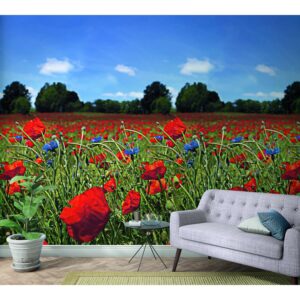 Marburg Vliestapete Floral Tulpen Rot-Grün 270 cm x 159 cm FSC®