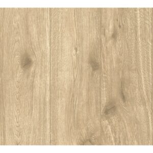 A.S. Création Vliestapete Best of Wood´n Stone Holz Eiche hell FSC®