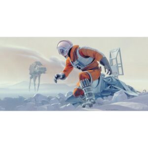 Komar Fototapete Vlies Star Wars Classic RMQ Hoth Battle Pilot  500 x 250 cm