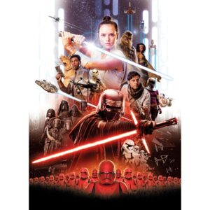 Komar Fototapete STAR WARS EP9 Movie Poster Rey  184 x 254 cm