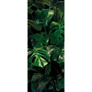 Komar Fototapete Vlies Tropical Wall Panel 100 x 250 cm  100 x 250 cm