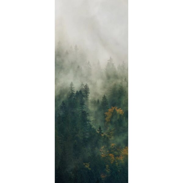 Komar Fototapete Vlies Tales of the Carpathians Panel 100 x 250 cm