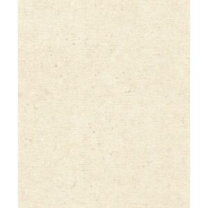 Rasch Vliestapete Factory V Beton Beige-Greige 10