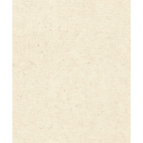 Rasch Vliestapete Factory V Beton Beige-Greige 10