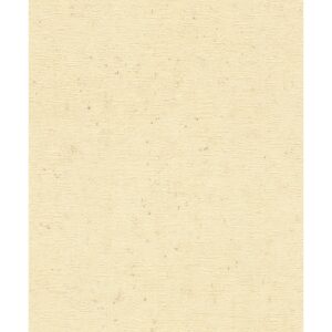 Rasch Vliestapete Factory V Beton Warmbeige 10