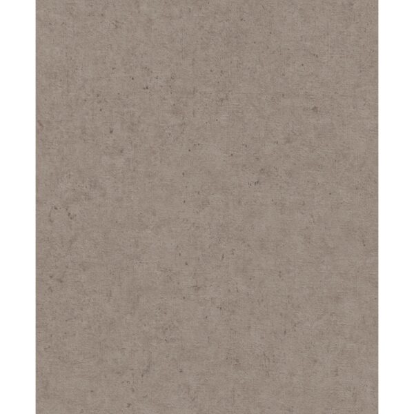 Rasch Vliestapete Factory V Beton Braun-Taupe dunkel 10